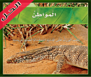 حل كتاب العلوم ثاني ابتدائي المواطن