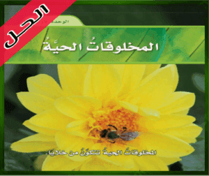 حل كتاب العلوم رابع ابتدائي الفصل الاول