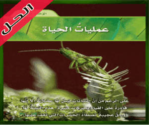 حل كتاب العلوم سادس ابتدائي الوحدة الثانية