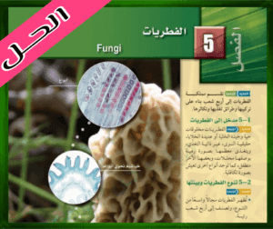 حل كتاب الأحياء الاول الثانوي