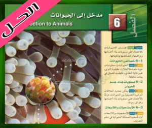 حل الفصل السادس مدخل إلى الحيوانات الاحياء 1 اول ثانوي 1445 ف1