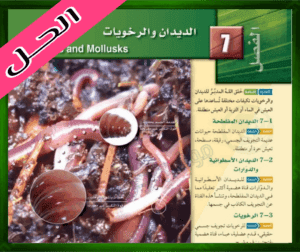 حل كتاب الاحياء اول حل الفصل السابع الديدان والرخويات الاحياء 1 اول ثانوي 1445 ف1