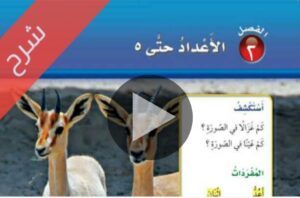 شرح مادة الرياضيات اول ابتدائي الفصل الدراسي الاول