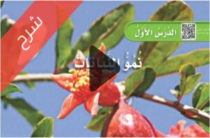 شرح الوحدة الاولى النباتات من حولنا علوم اول ابتدائي ف1