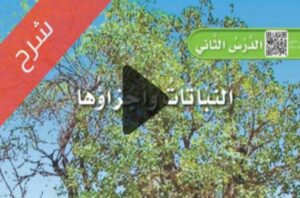 شرح الوحدة الاولى النباتات من حولنا علوم اول ابتدائي ف1