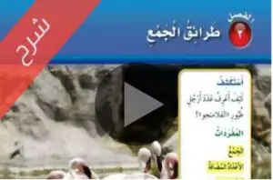 شرح دروس مادة الرياضيات ثاني ابتدائي الفصل الاول
