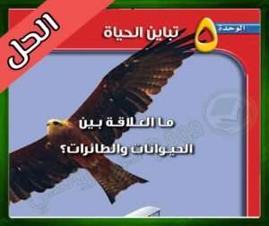 حل كتاب العلوم اول متوسط