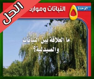 حل العلوم ثاني متوسط