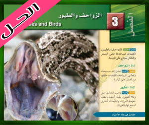 حل كتاب الاحياء ثاني حل الفصل الثالث احياء الزواحف والطيور ثاني ثانوي 1445 ف1