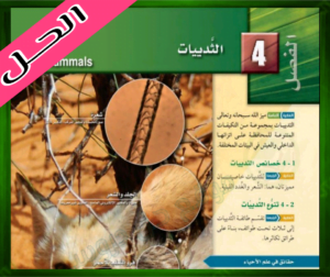 حل كتاب الاحياء ثاني حل الفصل الرابع الثديات احياء 2 ثاني ثانوي 1445 ف1