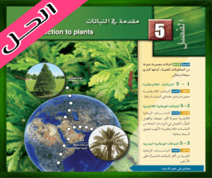 حل كتاب الاحياء ثاني حل الفصل الخامس مقدمة في النباتات ثاني ثانوي 1445 ف1