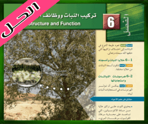 حل كتاب الاحياء ثاني حل الفصل السادس تركيب النباتات ووظائف أجزائة ثاني ثانوي ف1